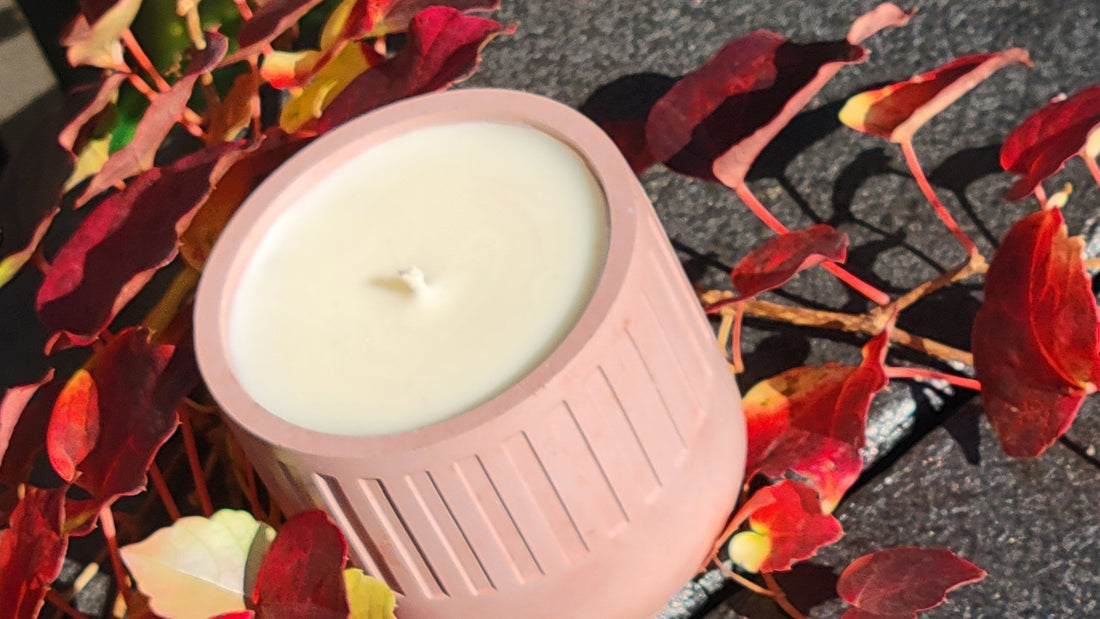 Find Your Calm with the Lush Amber & Sandalwood Candle: Perfect for Focus, Meditation, and Creativity