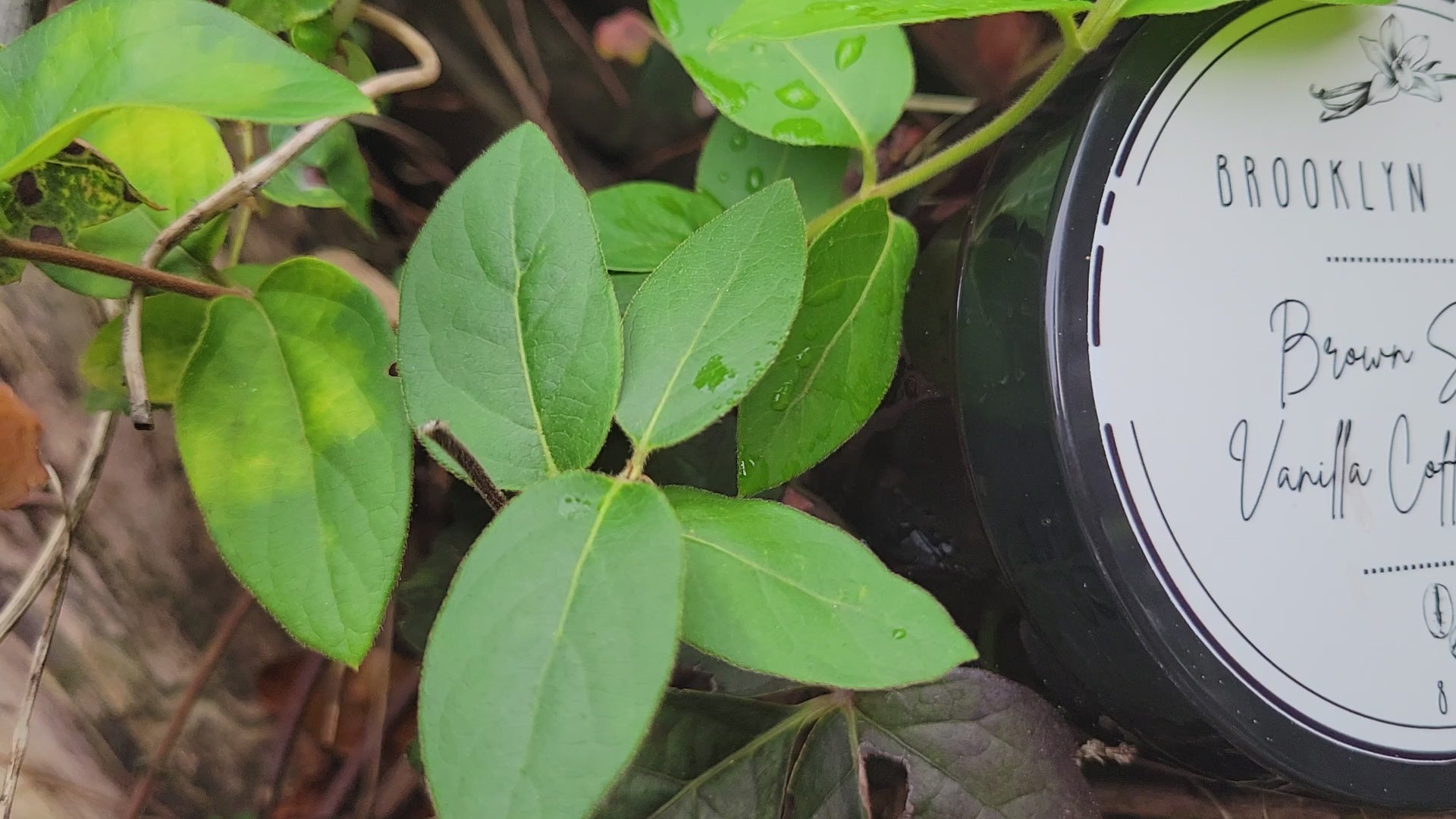 Video of Brown Sugar Vanilla Coffee Body Scrub